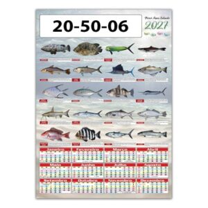 Poster Peixes Água Salgada  Ref. 20.50.31.06